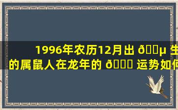 1996年农历12月出 🐵 生的属鼠人在龙年的 🐕 运势如何呢